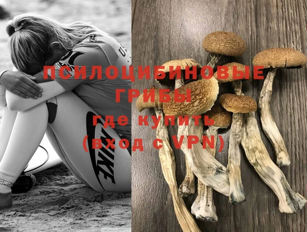 ECSTASY Заводоуковск